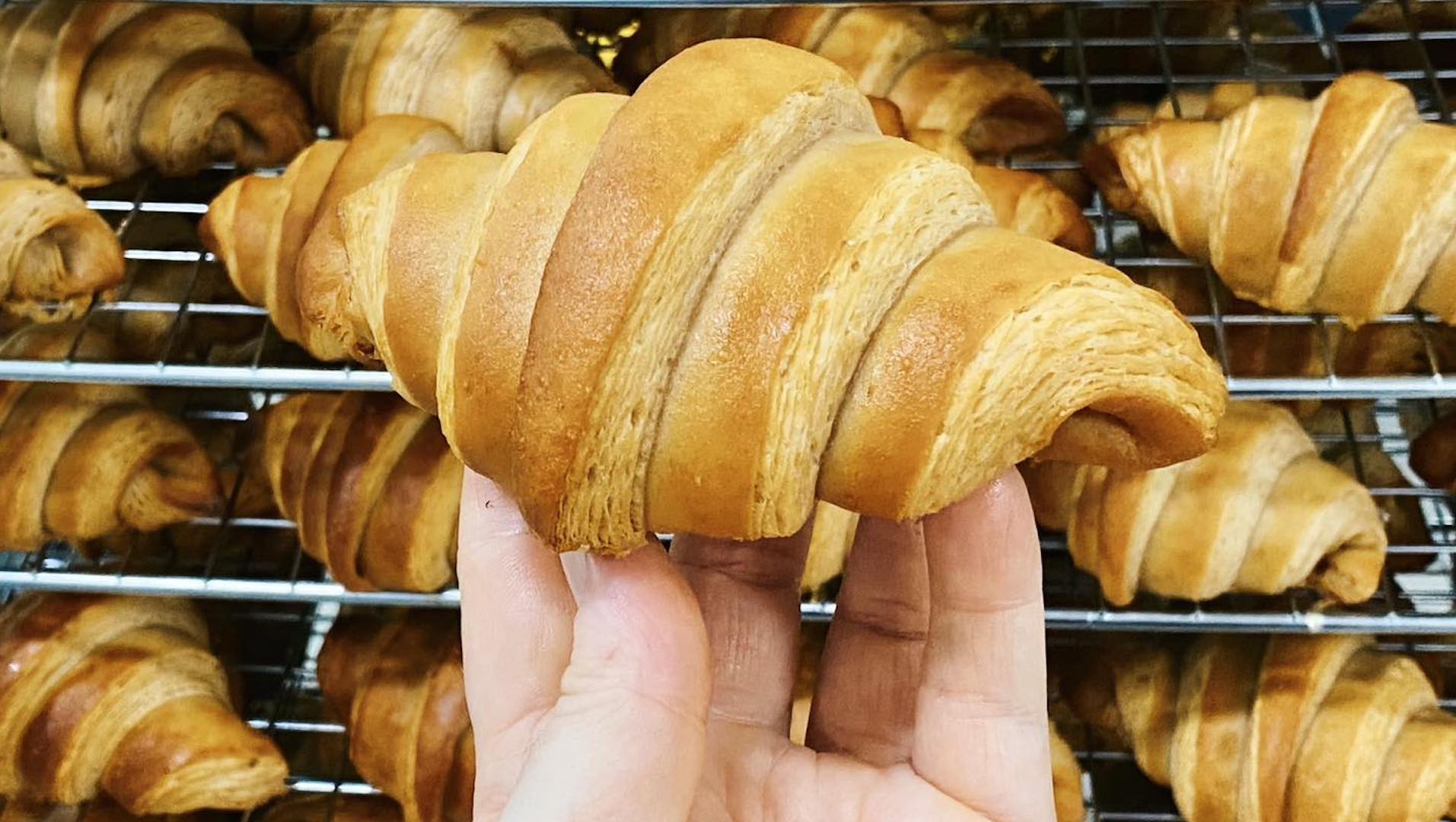 Gluten-Free Living Queensland bakery guide: a hand holding up a freshly baked croissant in front of rows of golden croissants on baking trays fresh out of the oven.
